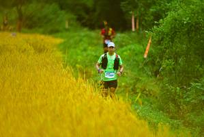 BIB: 
                            <button type="button" onclick="openModal(13455523)" class="btn btn-primary btn-sm float-right btn-popup" data-toggle="modal" data-target=".modal-high-quality">
                        <i class="fas fa-shopping-cart"></i> Add to Cart
                    </button>
                                            <button type="button" onclick="isThisMe(13455523, true)" class="btn btn-success btn-sm float-right btn-popup btn-isme hidden" data-toggle="tooltip" data-placement="bottom" title="นี่คือรูปของคุณใช่ไหม คลิกที่นี่เพื่อเอาเข้าอัลบั้ม">
                        <i class="fas fa-plus"></i> Add to album
                    </button>
                    <button type="button" onclick="isThisMe(13455523, false)" class="btn btn-warning btn-sm float-right btn-popup btn-isnotme hidden">
                        <i class="fas fa-ban"></i> Remove from album
                    </button>